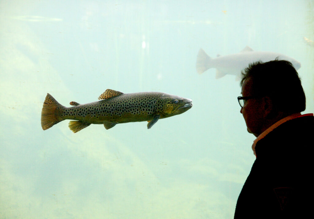 Iskorači, napravi prvi korak
